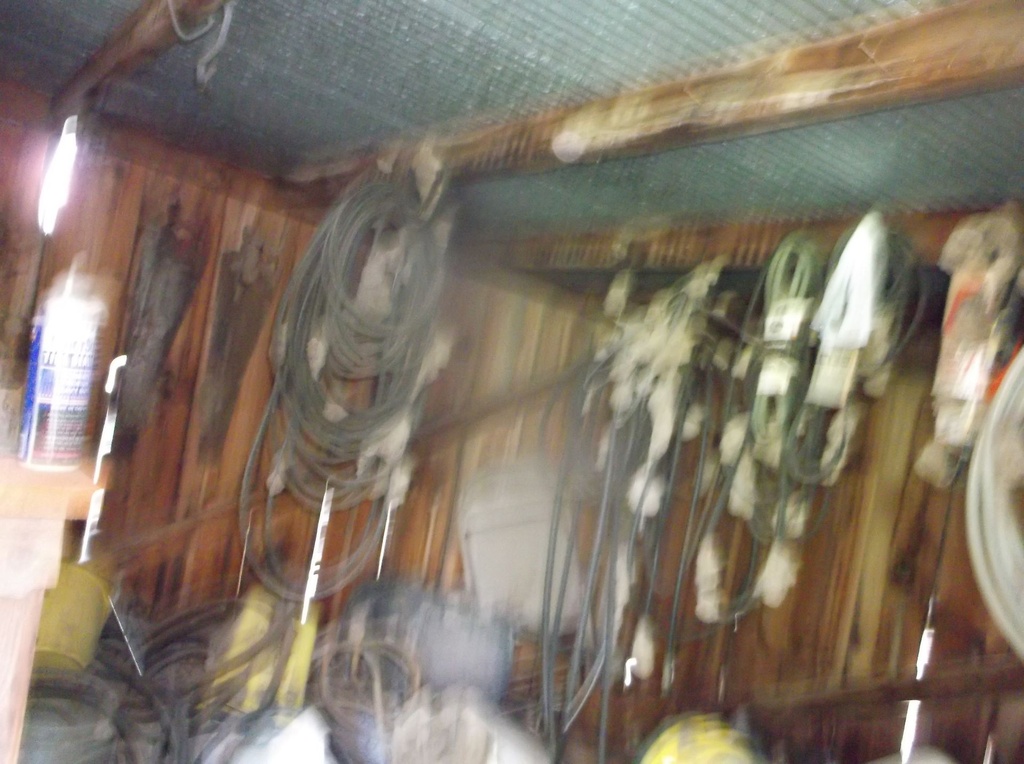 DSCF9345.JPG