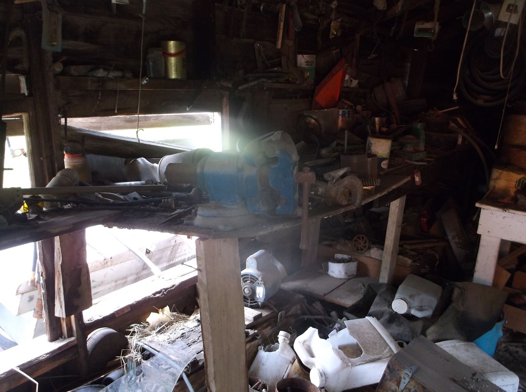 DSCF9342.JPG