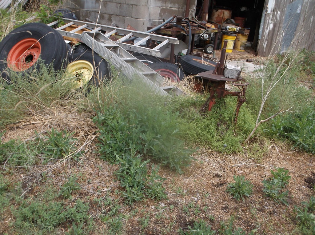 DSCF9357.JPG