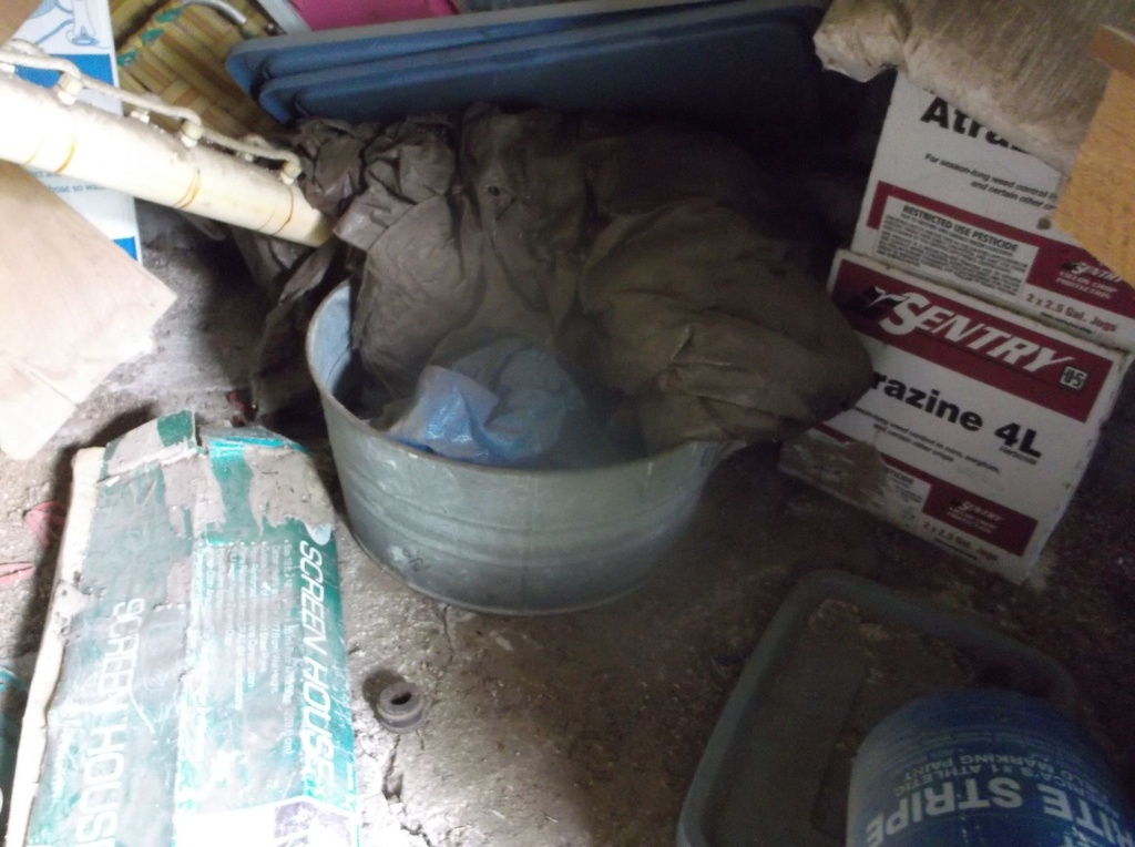 DSCF9356.JPG