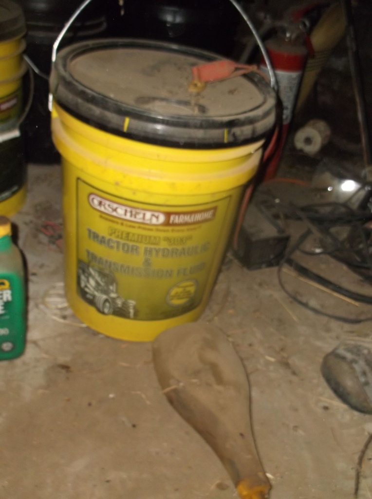 DSCF9399.JPG