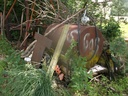 DSCF9418.JPG