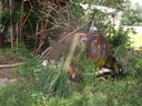DSCF9417.JPG