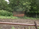 DSCF9411.JPG