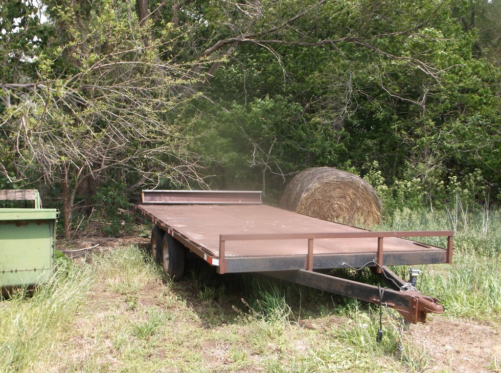 DSCF9428.JPG