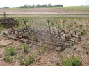 DSCF9440.JPG