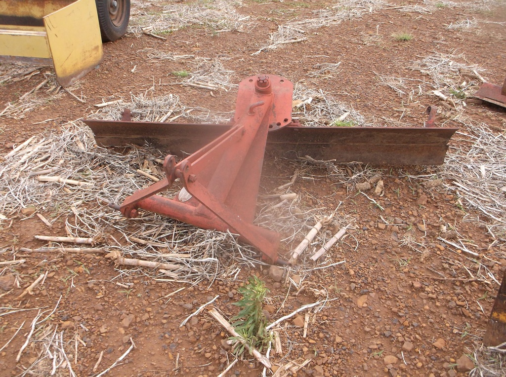 DSCF9476.JPG