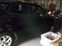DSCF9640.JPG