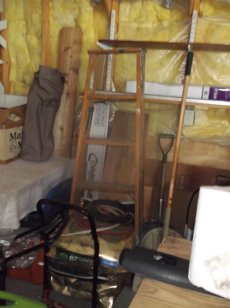 DSCF9603.JPG