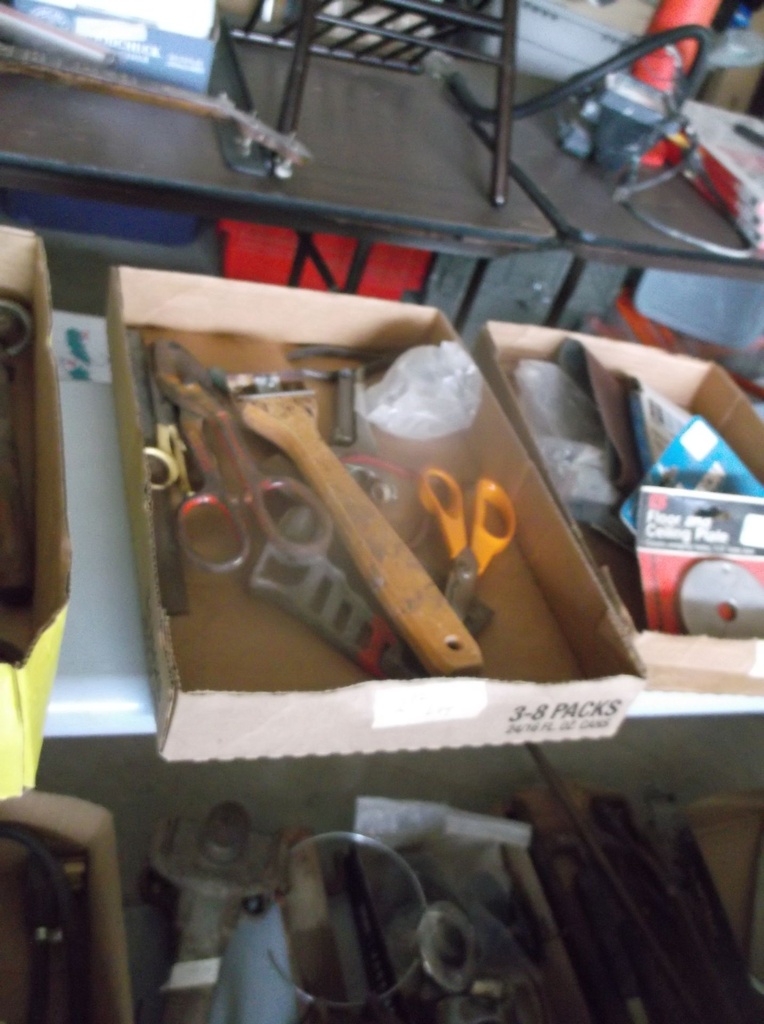 DSCF9578.JPG