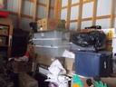 DSCF9567.JPG