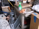 DSCF9558.JPG