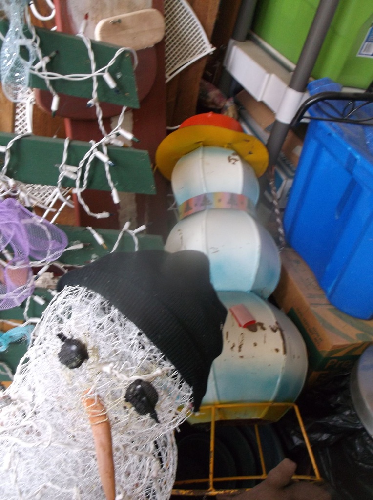 DSCF9556.JPG
