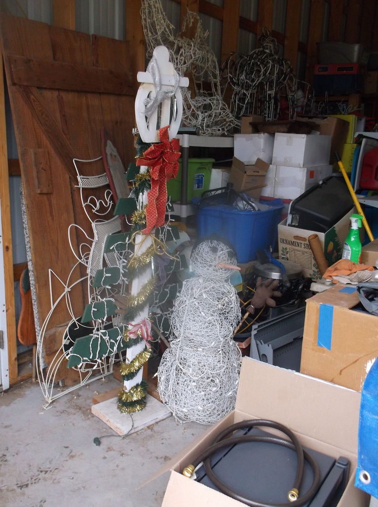 DSCF9551.JPG