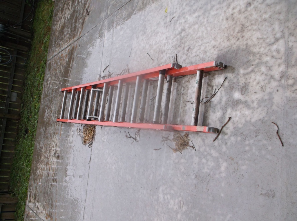 DSCF9538.JPG