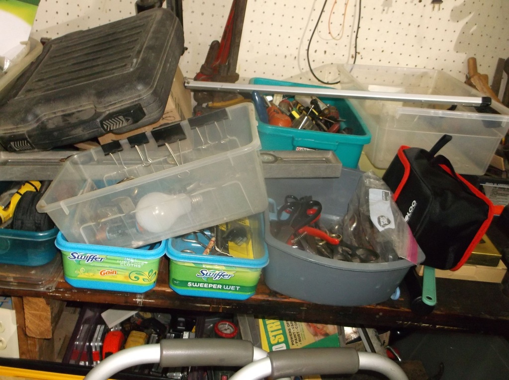 DSCF9528.JPG