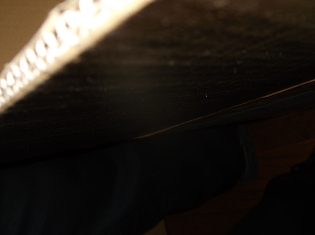 DSCF9207.JPG