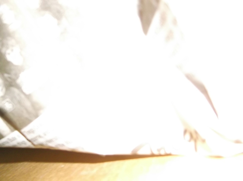 DSCF9220.JPG