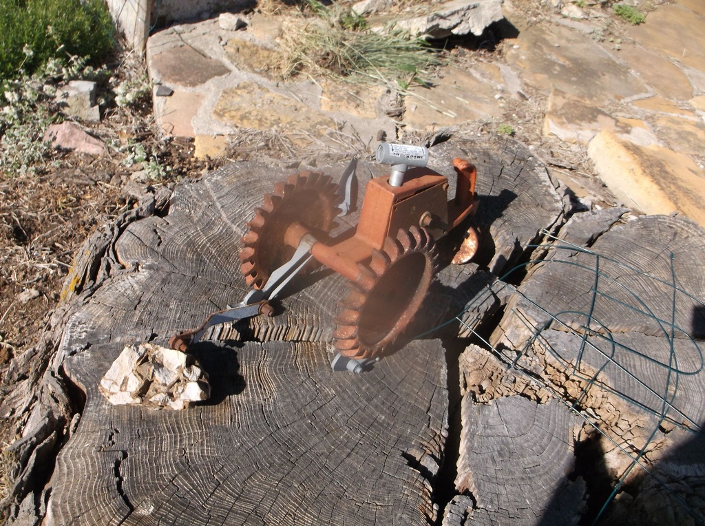 DSCF9255.JPG