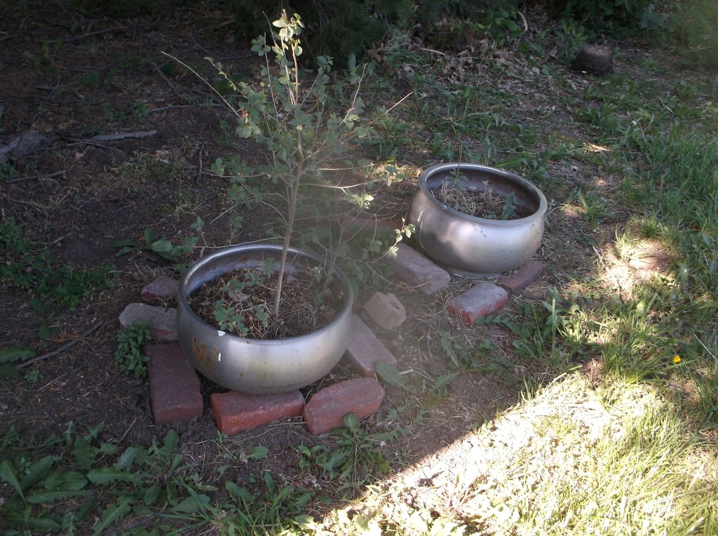 DSCF9274.JPG