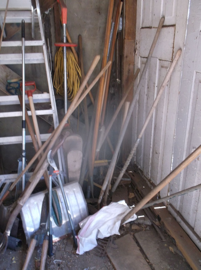DSCF9264.JPG