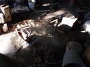 DSCF9258.JPG
