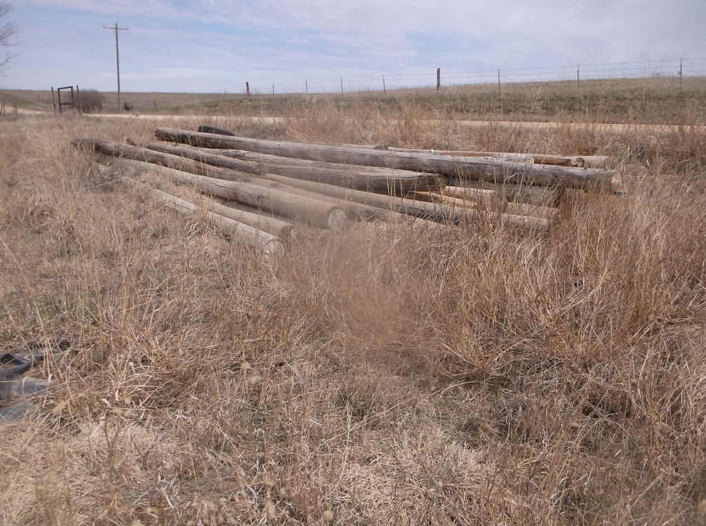 DSCF7728.JPG