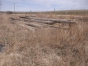 DSCF7728.JPG