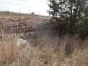 DSCF7727.JPG