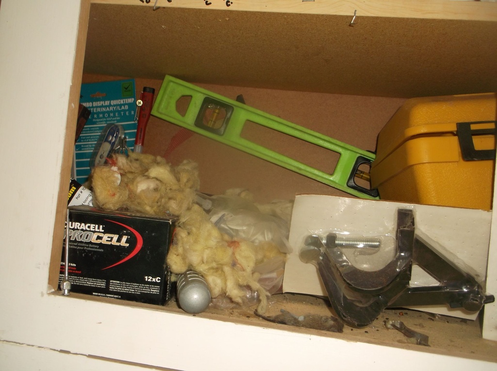 DSCF7642.JPG
