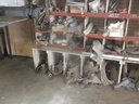 DSCF7489.JPG