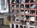 DSCF7488.JPG