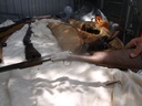 DSCF9674.JPG
