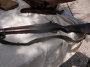DSCF9668.JPG