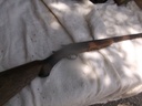 DSCF9690.JPG