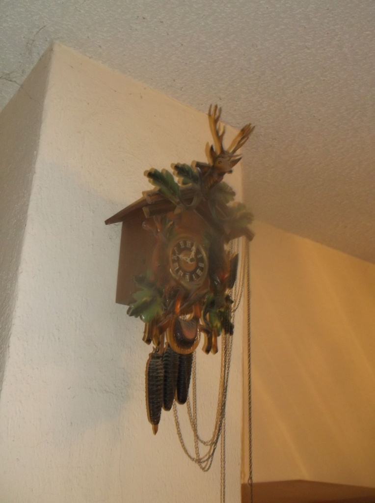 DSCF0021.JPG