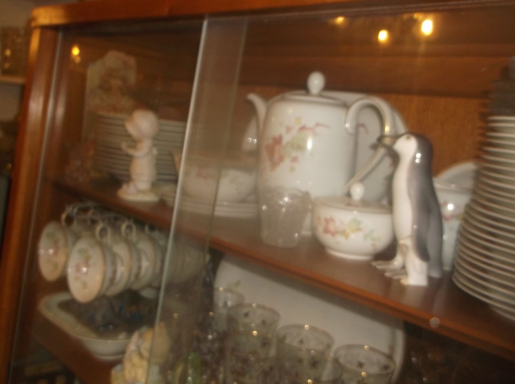 DSCF0019.JPG
