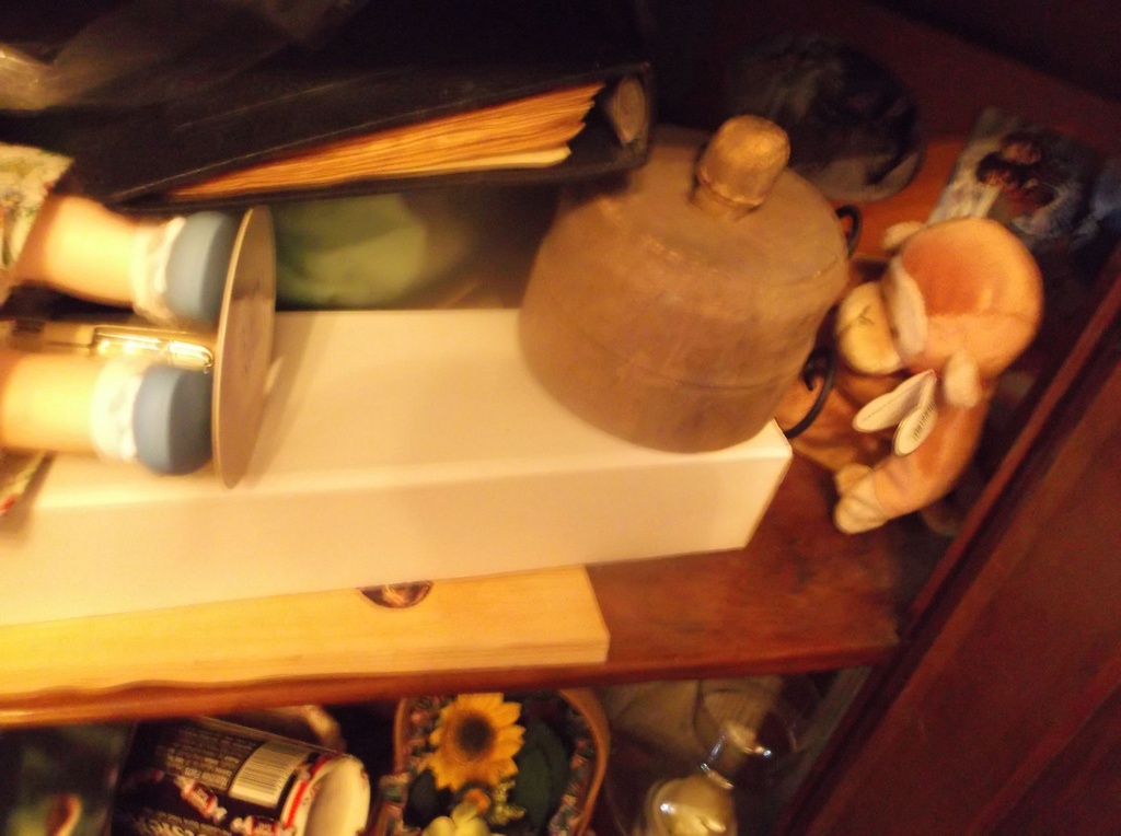DSCF0039.JPG