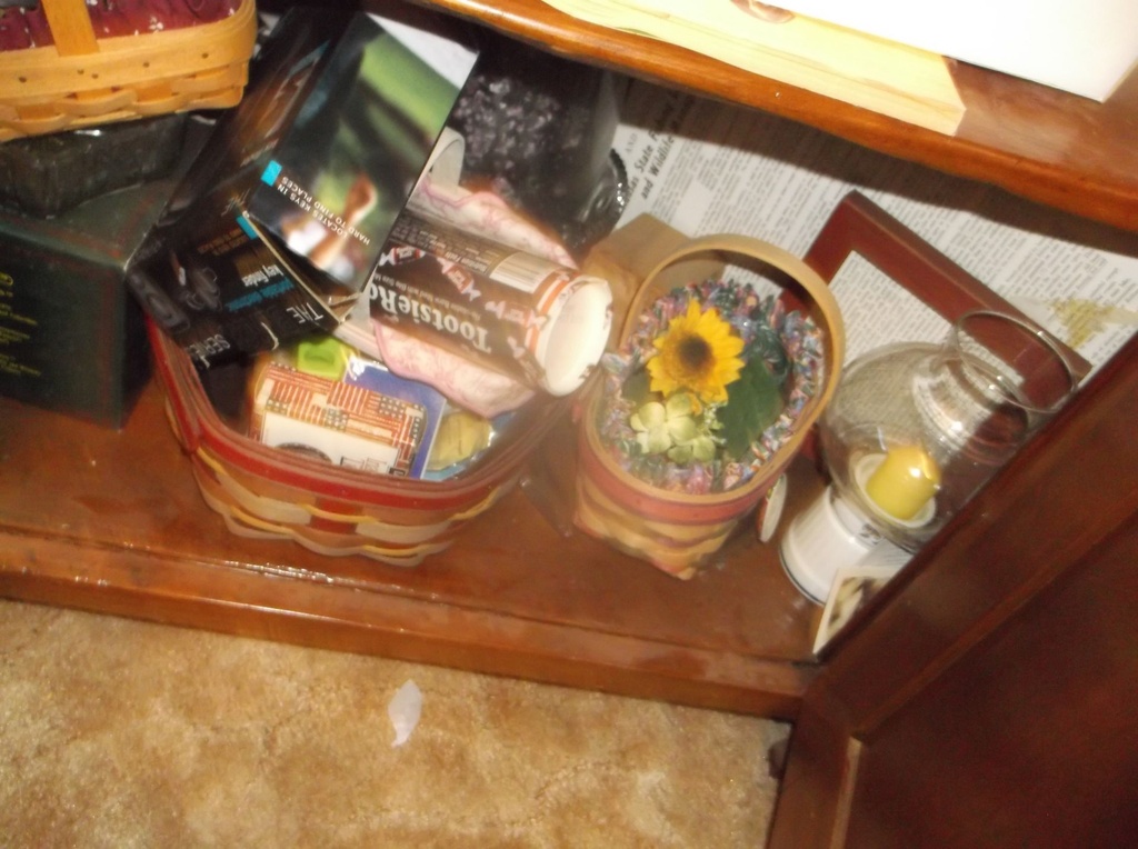 DSCF0038.JPG