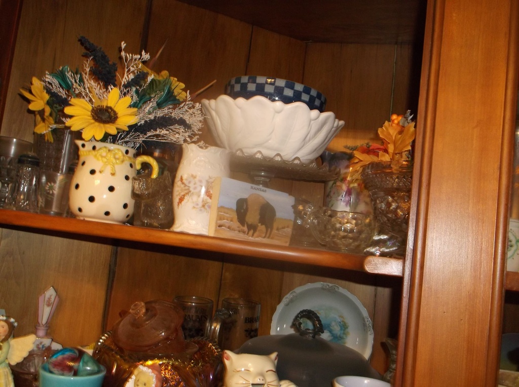 DSCF0036.JPG