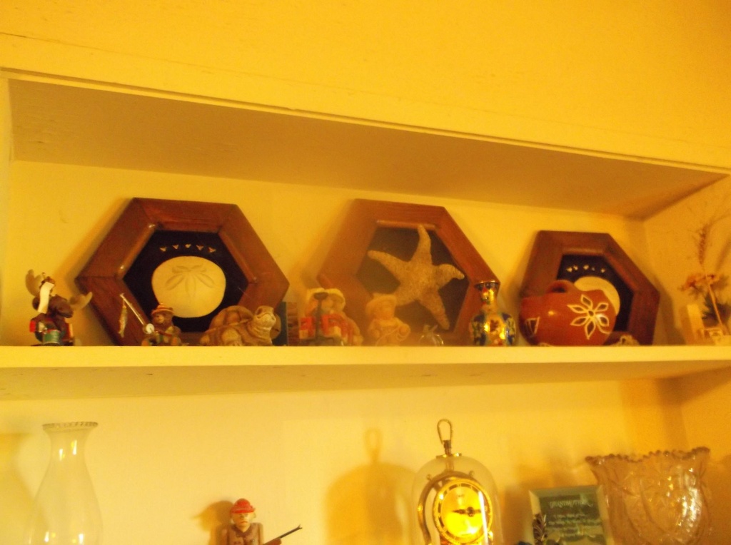 DSCF0025.JPG