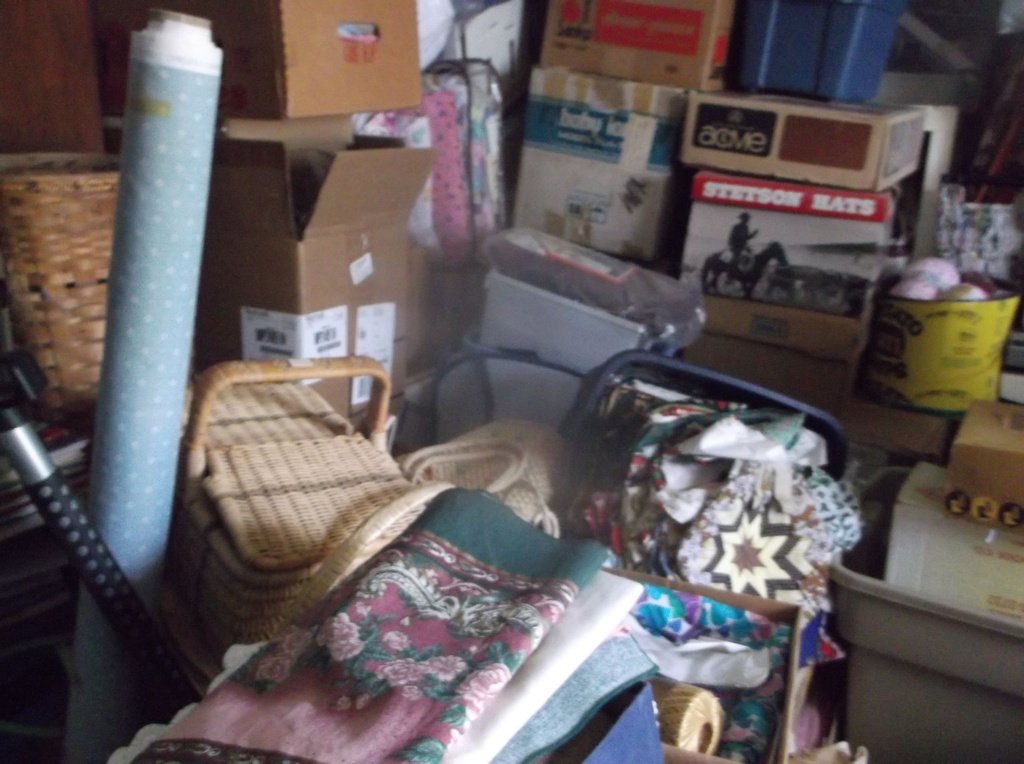DSCF0050.JPG