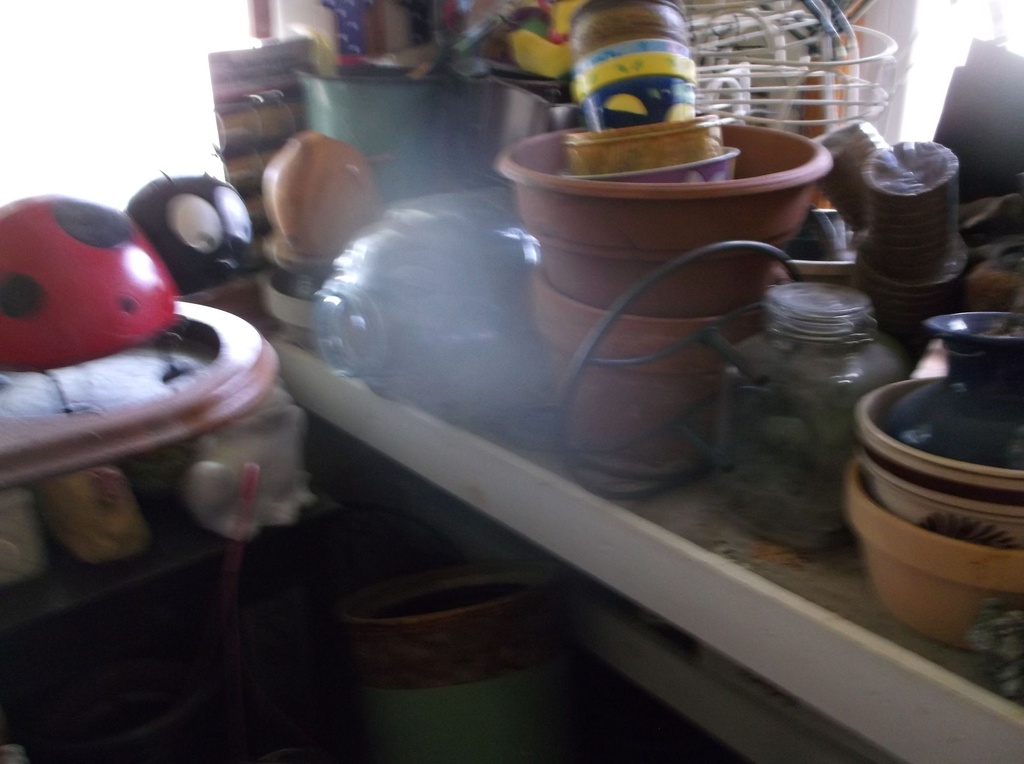 DSCF0102.JPG
