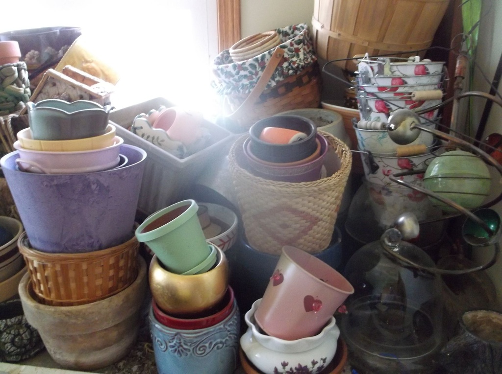 DSCF0101.JPG