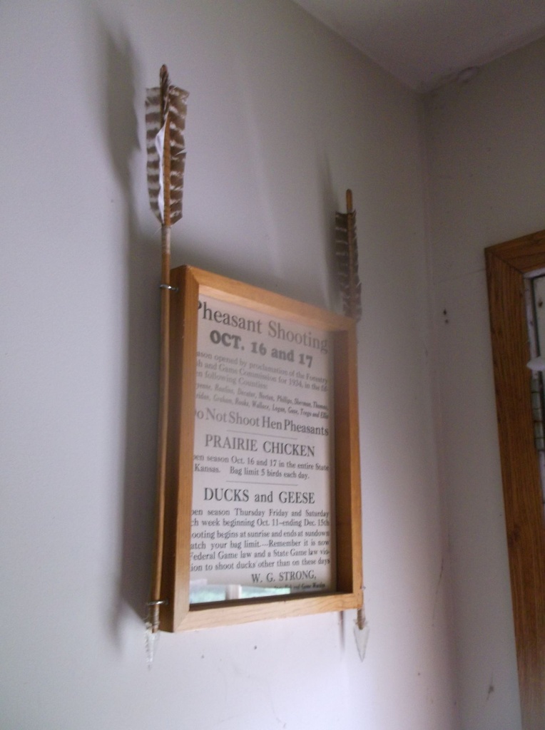 DSCF0103.JPG