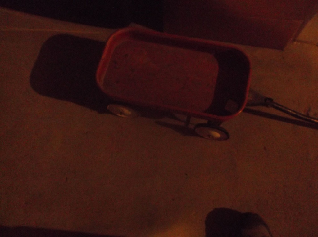 DSCF0127.JPG