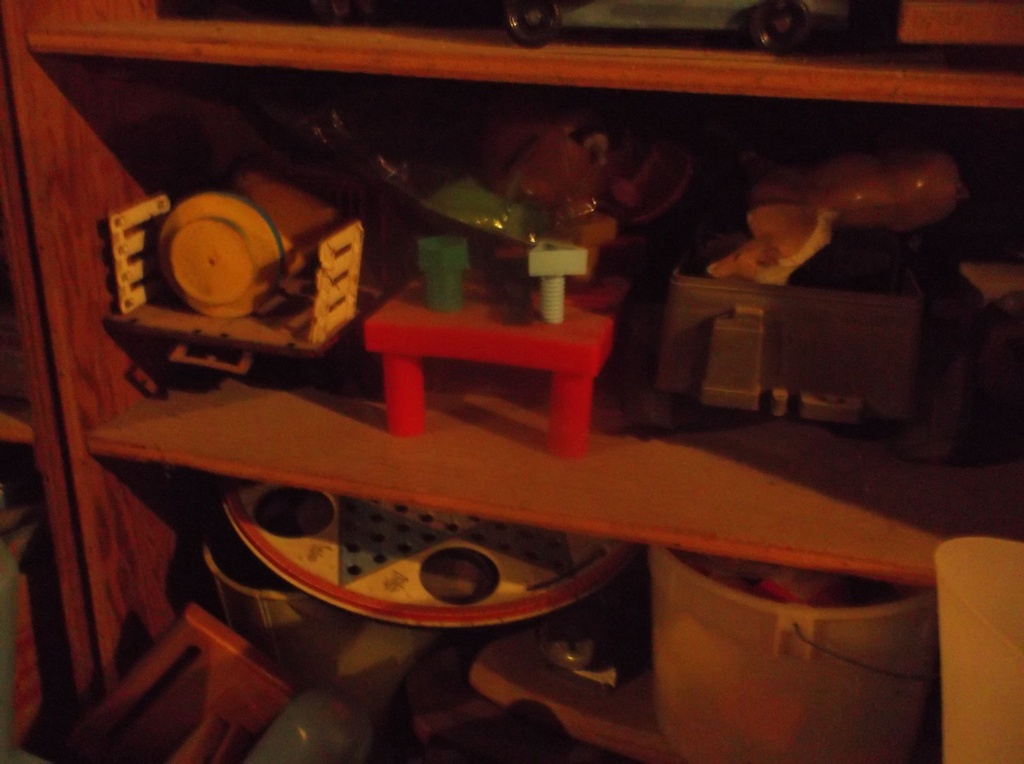 DSCF0119.JPG