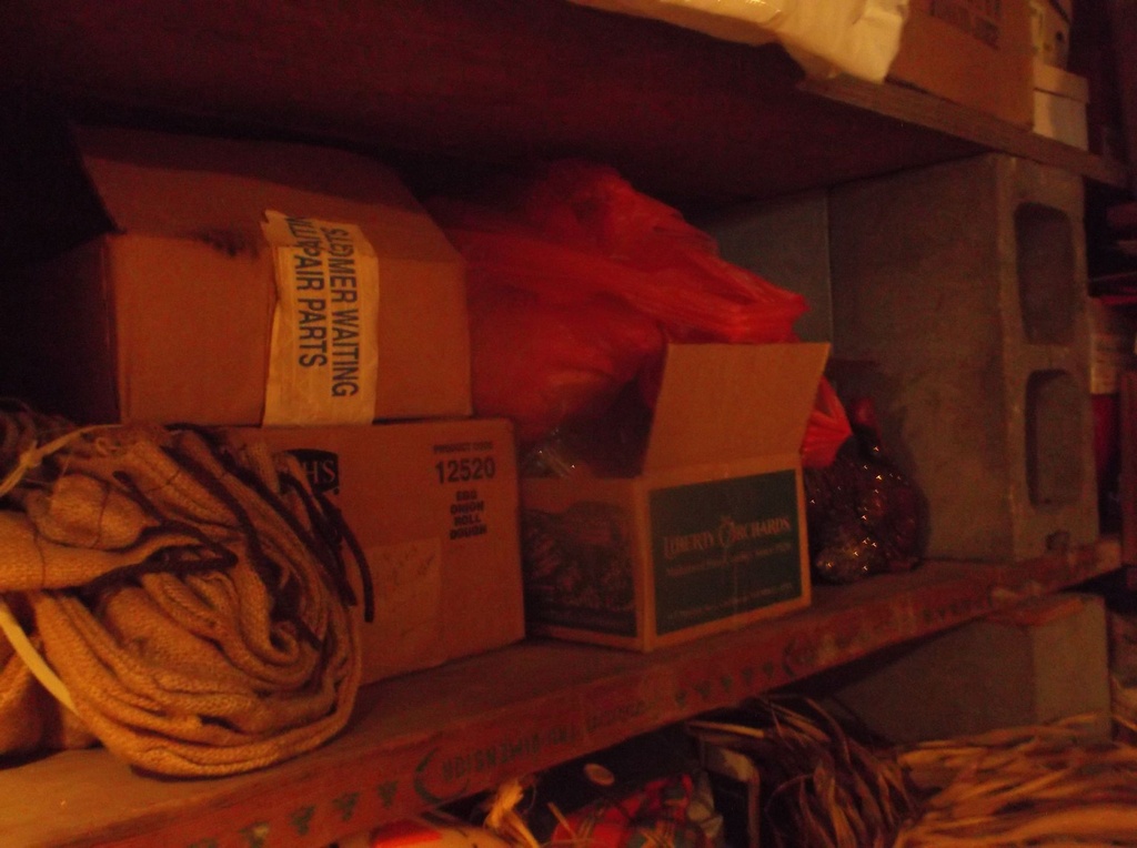 DSCF0148.JPG