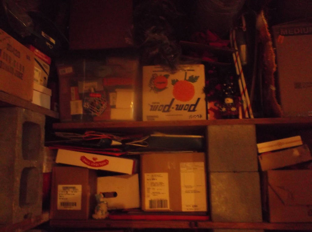 DSCF0147.JPG