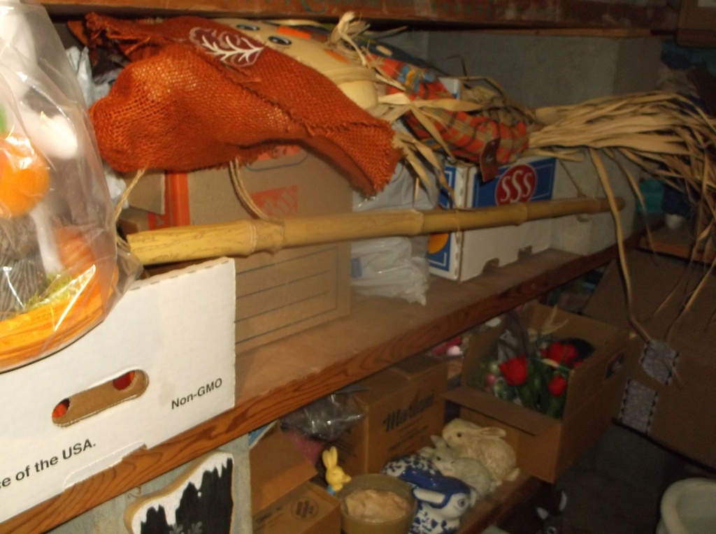 DSCF0146.JPG